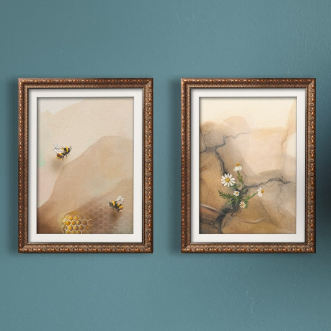 Bee + Chamomile - Collector&