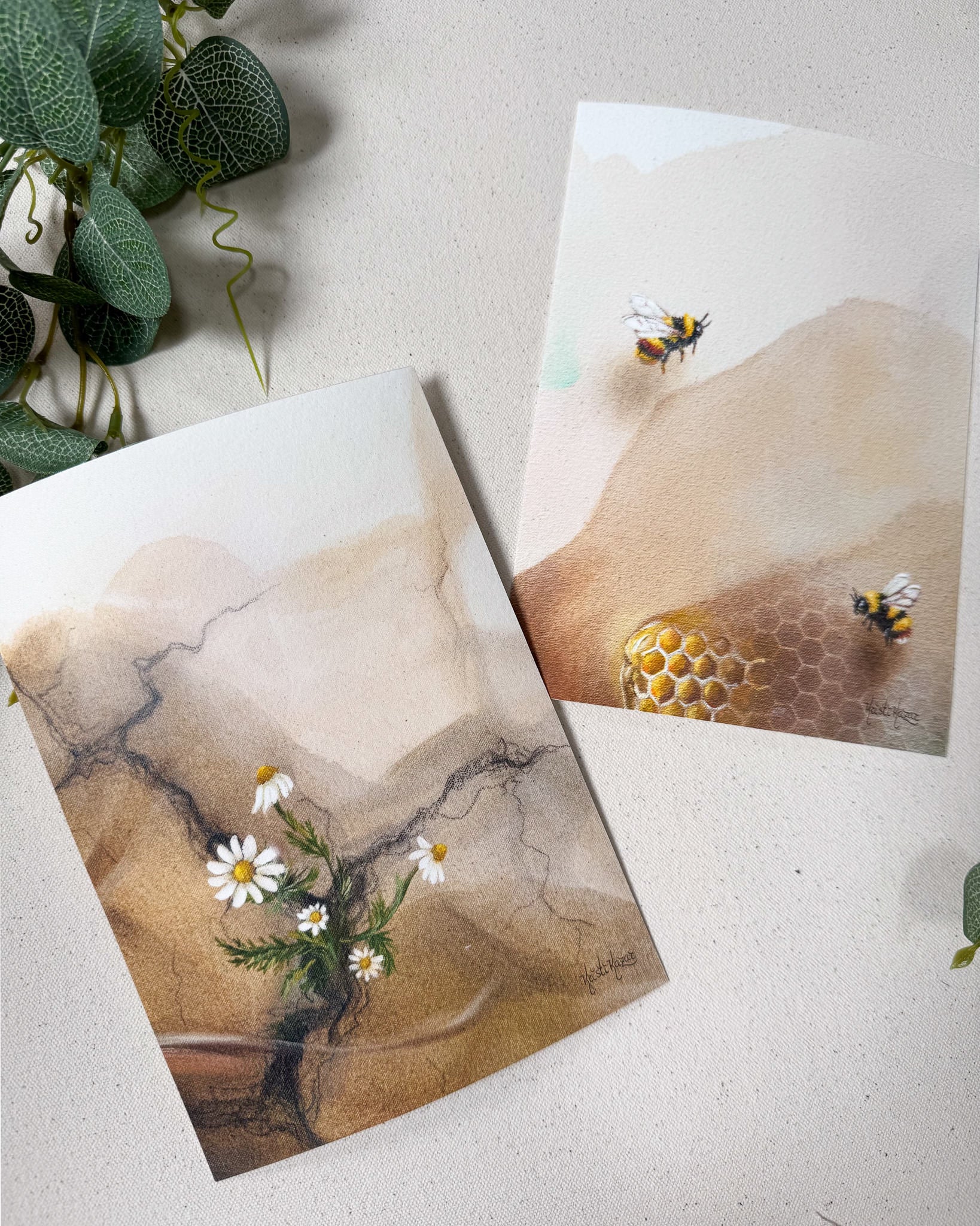 Bee + Chamomile - Collector&